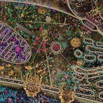 keles29174's profile picture. 