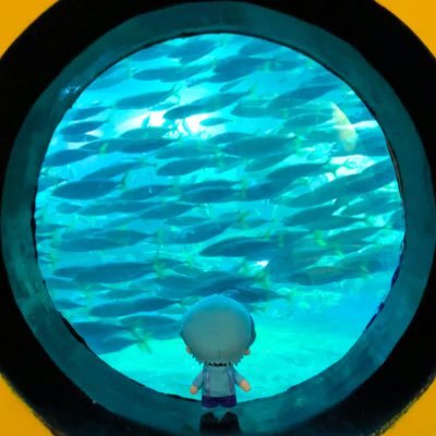 タオଳ⋆*さんのプロフィール画像