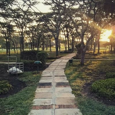 Danslovia's profile picture. Just stalk to know me, there is much to be, full of my feels, none  kills