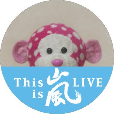 ARASHI🌈の5人が大好き【12/31 This is 嵐 Live 参戦】