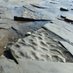 Art-Making in the Anthropocene (@artmakinginthe1) Twitter profile photo Art-Making in the Anthropocene (@artmakinginthe1) Twitter profile photo