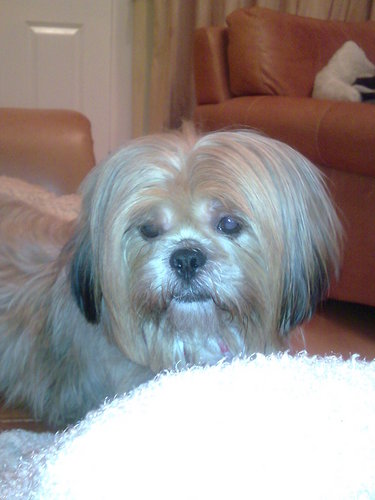 OrphanAnnie01's profile picture. Glass half full