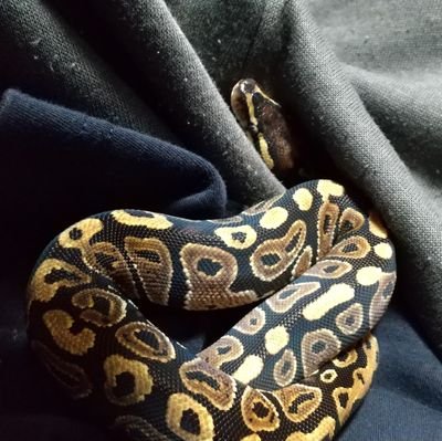 ゆうとさんのプロフィール画像