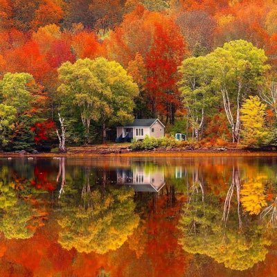 rhorenburger's profile picture. 