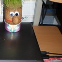 lily coronado - @67_liviny - Twitter