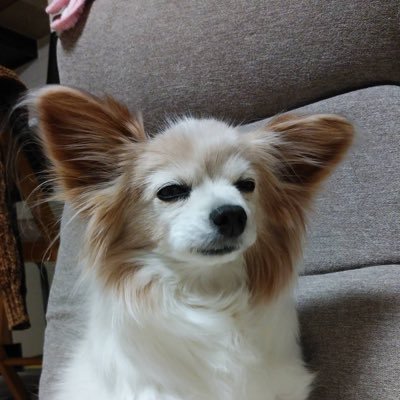 おてらさんのプロフィール画像