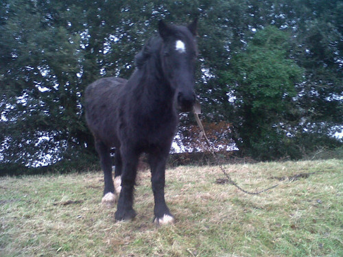 BOULDEROPAL70's profile picture. smile!!!