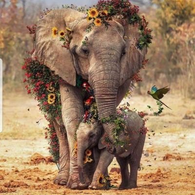 danielzmum's profile picture. No experience is useless
Every experience is useful
All that you experience will be put to use