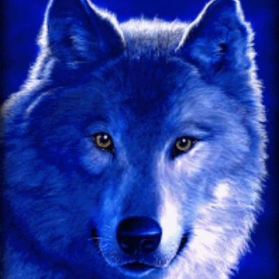 RiqYY9oWG31KySV's profile picture. 
