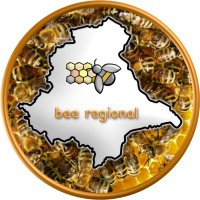 bee_regional (@beeregional) Twitter profile photo