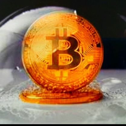 g_searcher's profile picture. #Bitcoin