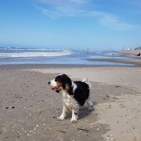 marcel (@marcel62669272) 's Twitter Profile Photo marcel (@marcel62669272) 's Twitter Profile Photo