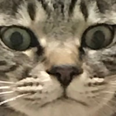 いかさんのプロフィール画像