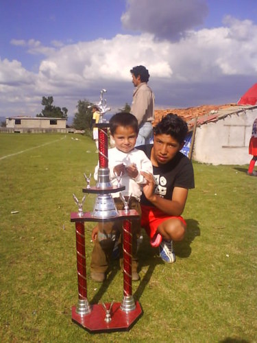 david