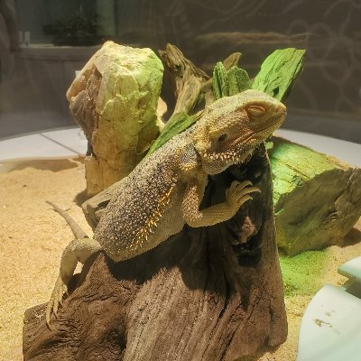Kさんのプロフィール画像