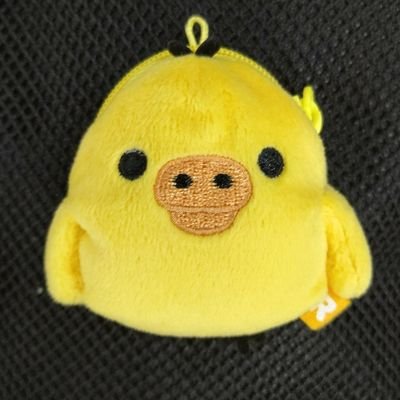 PIY0PIY0_hiyoko's profile picture. ﾋﾟﾖﾋﾟﾖ