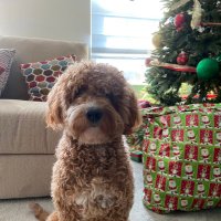 Cathy Sagne (@sagne) 's Twitter Profile Photo