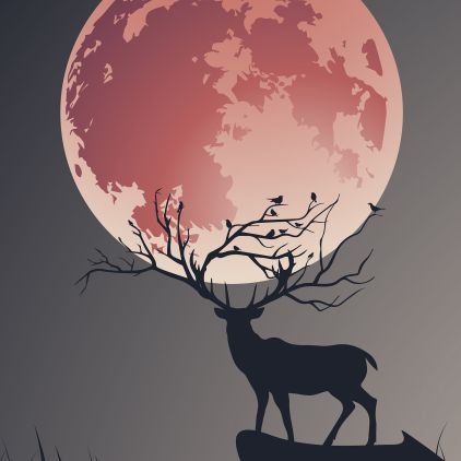 HongweiChen12's profile picture. 