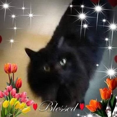 MelodieBarring2's profile picture. small town girl