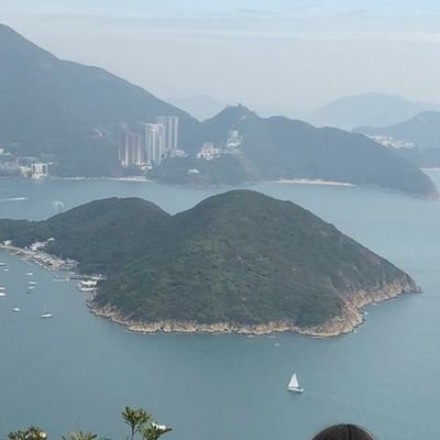 manlio0914's profile picture. Hong Konger, Beijinger, New Yorker, Virginian.