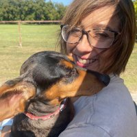 Lori Apple (@loriapple4) 's Twitter Profile