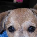 Roberto Rivera Ortiz - @robertorivera - Twitter