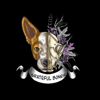 BonesGrateful Profile Picture