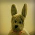 DorcasBear (@dorcasbear) Twitter profile photo DorcasBear (@dorcasbear) Twitter profile photo