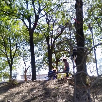 年子(小3・小1)との暮らし。子が寝ません→メラトベルが救世主。英国にて子ども学修士号取得、現在は特支関係職(高校)。子育てのお友達がほしいです。