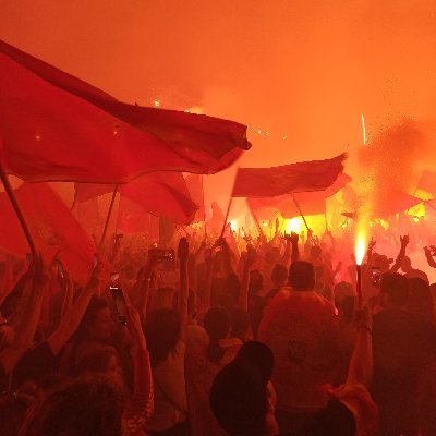 Wilson237829985's profile picture. Ball dont lie