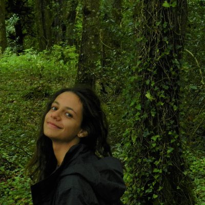 Materials engineer and PhD candidate @uninaIT
#materials #perovskites #photovoltaics
Let's build a truly sustainable future @SustDev