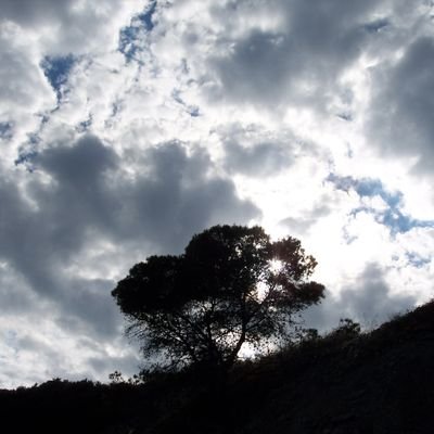 c_pins's profile picture. Κι όταν δεν πεθαίνει ο ένας για τον άλλον,είμαστε κιόλας νεκροί.