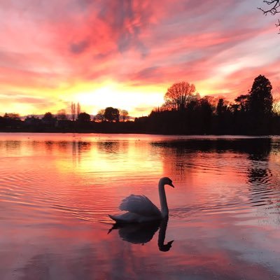 Love to walk, travel, meet new people & take a few iPhone snaps along the way. Volunteer to give back. livelifeincolour 💜💖