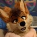 That fox butt AD🦊🍑😈🔜 @ FWA (@grungerfoxad) Twitter profile photo That fox butt AD🦊🍑😈🔜 @ FWA (@grungerfoxad) Twitter profile photo