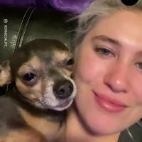 KaitlynKristy Puppy Lover(@KaitlynKristyP1) 's Twitter Profile Photo