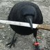 curiouscorvid.bsky.social 🍉 justa curious lil guy (@curiouscorvidae) Twitter profile photo curiouscorvid.bsky.social 🍉 justa curious lil guy (@curiouscorvidae) Twitter profile photo
