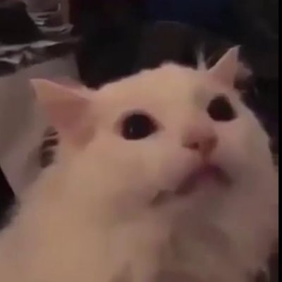 PurPurkaさんのプロフィール画像