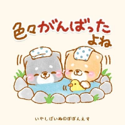 2019年~#不眠症 #エバミール  #デエビゴ (#眠剤 ) #自律神経失調症 あり。12月~2月 は、特に気分の浮き沈み激しい。 

2022年~  #メニエール病 確定診断。内服療養中。←
不眠症･自律神経失調症の症状より、メニエール病の症状の方がしんどい(´；ω；｀)