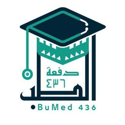 BATCH 7 | الدفعة ٧