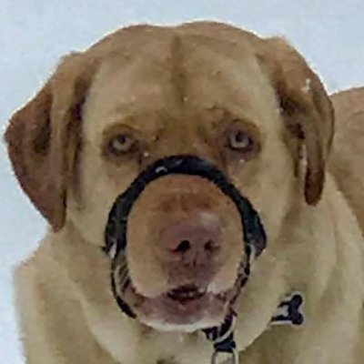 doonhamer1967's profile picture. Supporter of Independence for Scotland @doonhamer1967.bsky.social