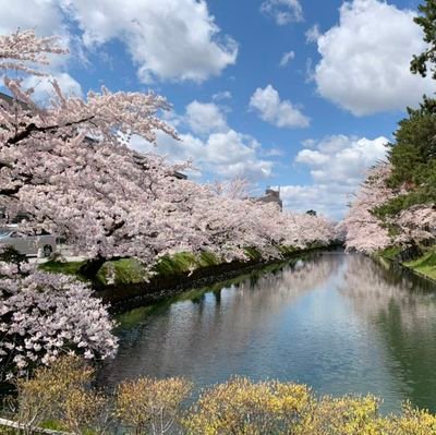 青森の者です。見る専門