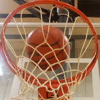 Deubrook GBB (@gophinsgbb) 's Twitter Profile