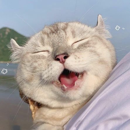 Scchaos1's profile picture. 记录生活而已