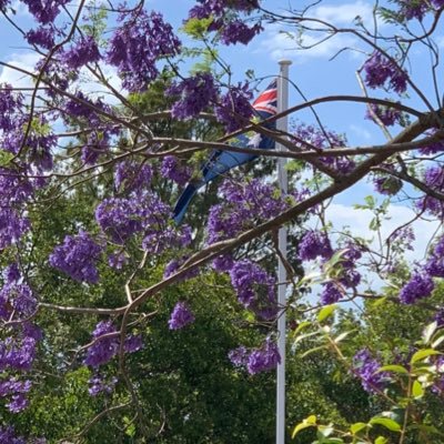 🇦🇺 🐨🦘✝️ 🇮🇱🎗️🧡Wife, Mum, Granma. Maranatha