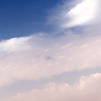 aass6996's profile picture. 