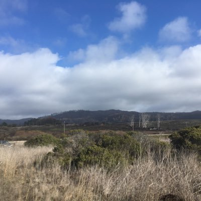 hi41578268's profile picture. #actuallyautistic