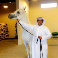 مصعب الطريف السعيدي (@musaab_alsaidi_) 's Twitter Profile