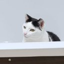 Summer Davidson - @SumDeBum1 - Twitter