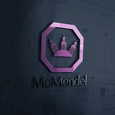 Founder and CEO of McMendel Group||
Building Contractor||
Project manager||
Construction manager||
Quantity Surveyor||
Architectural technologist||