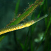 Sandra Scott (@baypipefish) Twitter profile photo Sandra Scott (@baypipefish) Twitter profile photo